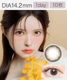 Angelcolor（エンジェルカラー）の「AngelColor Bambi Series Vintage 1day ヴィンテージクラシック（10枚入り）（コンタクトレンズ・カラコン）」