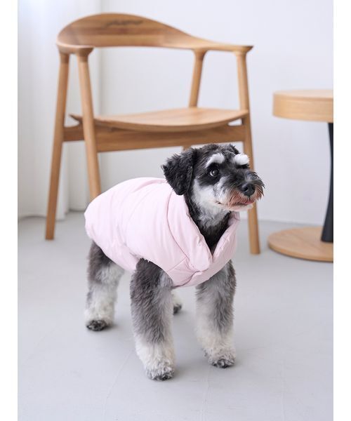 gelato pique（ジェラートピケ）の「【CAT&DOG】XL・XXLサイズ中綿ベスト（ペットウェア・レディース・ピンク/チャコールグレー/ベージュ・XXL/XL）」の14枚目の写真