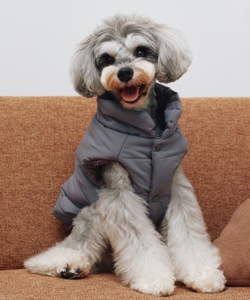 ジェラートピケ 中綿ベスト ブルー Ｌ ジェラートピケ 中綿ベスト ブルーカラー Lサイズ ジェラートピケ 中綿