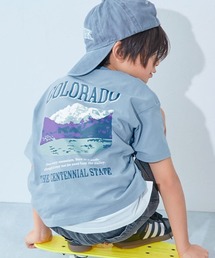 devirock�i�f�r���b�N�j�́u��100�� �f�r���{ BIG�V���G�b�g �v�����g����T�V���c�iT�V���c/�J�b�g�\�[�j�v