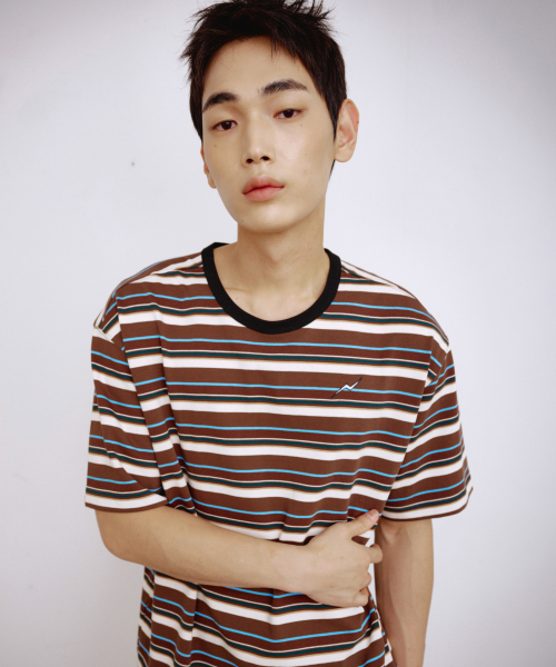KALAPATTHAR(カラパタール)の「KP LOGO STRIPE SHORT-SLEEVED T-SHIRT - BROWN(Tシャツ/カットソー・メンズ・その他・LARGE/X-LARGE/MEDIUM)」の1枚目の写真