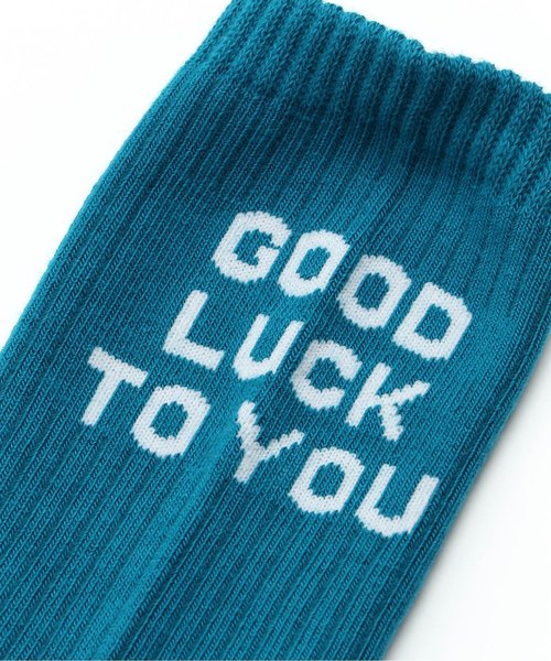 BREEZE（ブリーズ）の「ロゴソックス（ソックス/靴下・キッズ・オフホワイト/エメラルド・15 /18/21/27/24）」の8枚目の写真