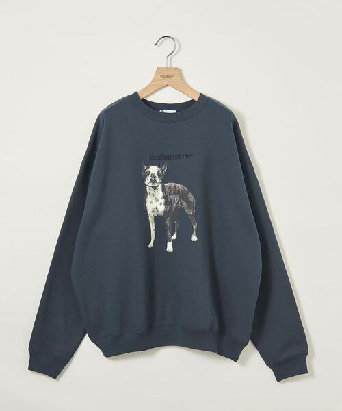 info. BEAUTY&YOUTH（インフォビューティアンドユース）の「【WEB店限定】＜info. BEAUTY&YOUTH＞ ドッグプリント スーパービッグ スウェット（Tシャツ/カットソー・メンズ・その他6/その他4/その他5/その他3/その他2/その他1・S/M/L）」の3枚目の写真