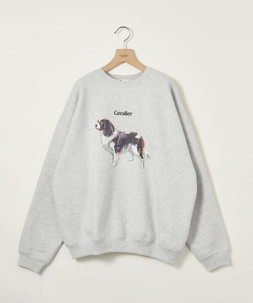 info. BEAUTY&YOUTH（インフォビューティアンドユース）の「【WEB店限定】＜info. BEAUTY&YOUTH＞ ドッグプリント スーパービッグ スウェット（Tシャツ/カットソー・メンズ・その他6/その他4/その他5/その他3/その他2/その他1・S/M/L）」の5枚目の写真
