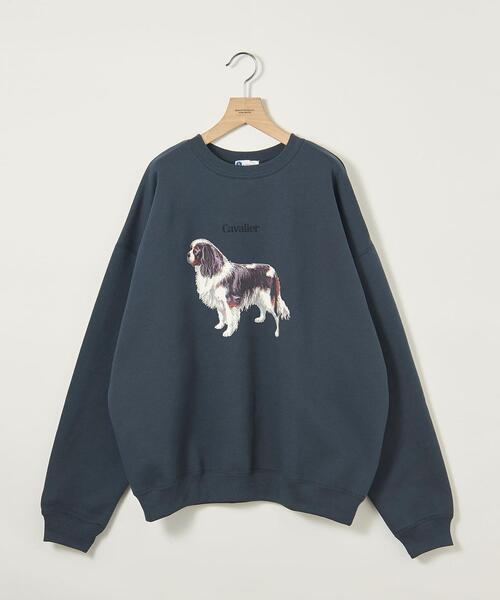 info. BEAUTY&YOUTH（インフォビューティアンドユース）の「【WEB店限定】＜info. BEAUTY&YOUTH＞ ドッグプリント スーパービッグ スウェット（Tシャツ/カットソー・メンズ・その他6/その他4/その他5/その他3/その他2/その他1・S/M/L）」の6枚目の写真