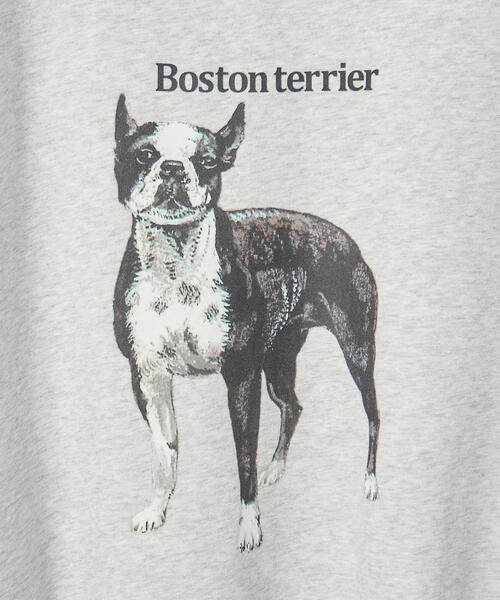 info. BEAUTY&YOUTH（インフォビューティアンドユース）の「【WEB店限定】＜info. BEAUTY&YOUTH＞ ドッグプリント スーパービッグ スウェット（Tシャツ/カットソー・メンズ・その他6/その他4/その他5/その他3/その他2/その他1・S/M/L）」の16枚目の写真