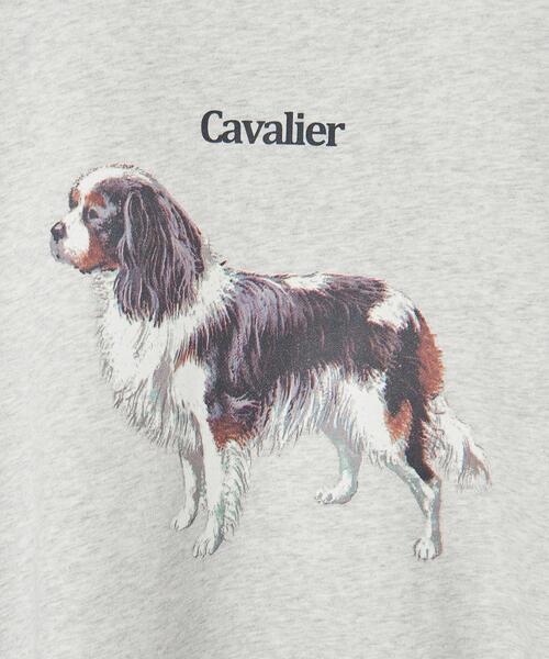 info. BEAUTY&YOUTH（インフォビューティアンドユース）の「【WEB店限定】＜info. BEAUTY&YOUTH＞ ドッグプリント スーパービッグ スウェット（Tシャツ/カットソー・メンズ・その他6/その他4/その他5/その他3/その他2/その他1・S/M/L）」の10枚目の写真