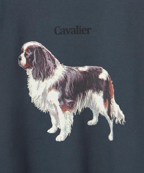 info. BEAUTY&YOUTH（インフォビューティアンドユース）の「【WEB店限定】＜info. BEAUTY&YOUTH＞ ドッグプリント スーパービッグ スウェット（Tシャツ/カットソー・メンズ・その他6/その他4/その他5/その他3/その他2/その他1・S/M/L）」の11枚目の写真