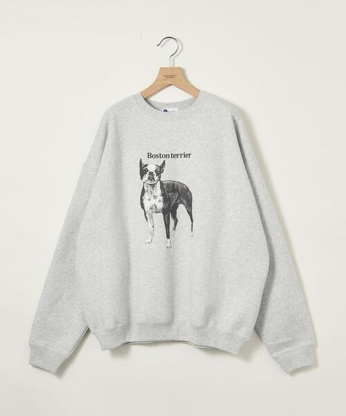 BEAUTY&amp;YOUTH UNITED ARROWS - BEAUTY&amp;YOUTH UNITEDARROWSドッグプリントスウェット WEB店限定】＜info. BEAUTY&YOUTH＞ ドッグプリント スーパー