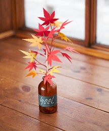 BEAMS JAPAN(�r�[���X�@�W���p��)��bog craft / SOEL ���~�W(�C���e���A�G��)