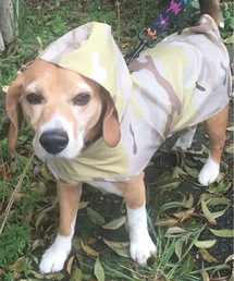 392 plusm（サンキューニプリュスエム）の「tr:392plusm　サンキューニ プリュス エム:check dog poncho タイガーカモ　デザートカモ　ドッグ　犬用　レインコート　レインポンチョ（ペットウェア）」