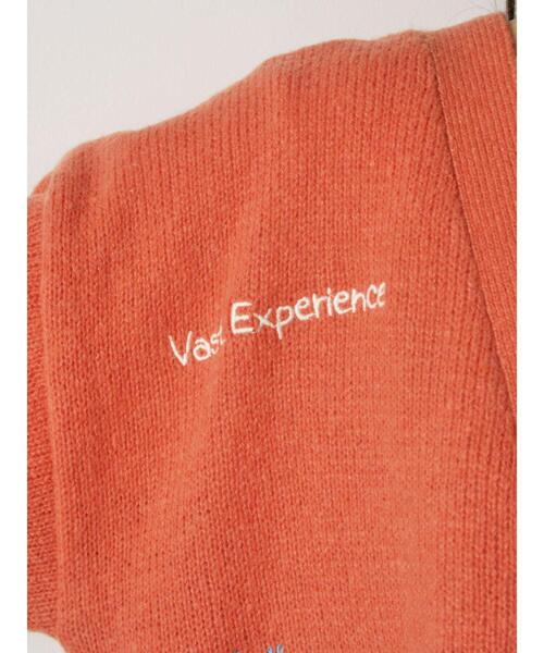 ehka sopo（エヘカソポ）の「らくがき刺繍Vネックカーディガン（カーディガン/ボレロ・レディース・オレンジ/サックスブルー/ブラック/キナリ・F）」の10枚目の写真