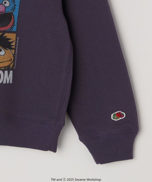 SHIPS any（シップス エニィ）の「SESAME STREET meets FRUIT OF THE LOOM: ブロック プリント スウェット<KIDS>（Tシャツ/カットソー・キッズ・パープル/ライトグレー・130/150/140/110）」の16枚目の写真