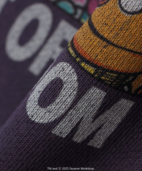 SHIPS any（シップス エニィ）の「SESAME STREET meets FRUIT OF THE LOOM: ブロック プリント スウェット<KIDS>（Tシャツ/カットソー・キッズ・パープル/ライトグレー・130/150/140/110）」の19枚目の写真