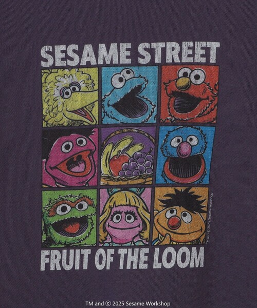 SHIPS any（シップス エニィ）の「SESAME STREET meets FRUIT OF THE LOOM: ブロック プリント スウェット<KIDS>（Tシャツ/カットソー・キッズ・パープル/ライトグレー・130/150/140/110）」の20枚目の写真