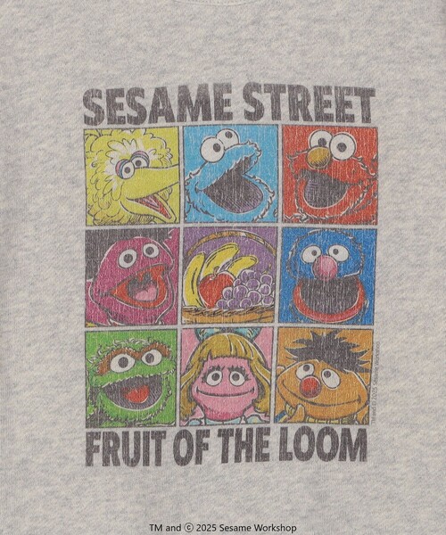 SHIPS any（シップス エニィ）の「SESAME STREET meets FRUIT OF THE LOOM: ブロック プリント スウェット<KIDS>（Tシャツ/カットソー・キッズ・パープル/ライトグレー・130/150/140/110）」の22枚目の写真