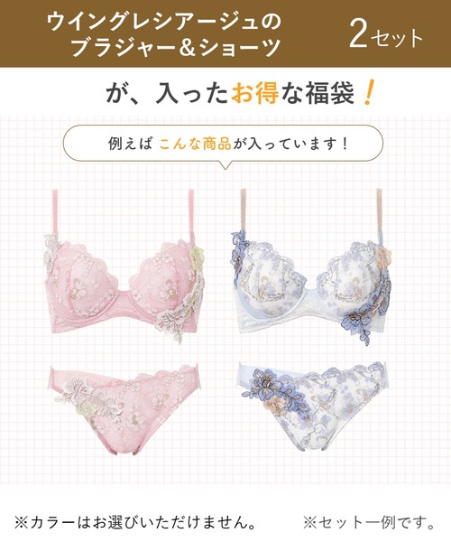 福袋」 ウイング レシアージュ ブラショーツ 2セット（福袋/福箱