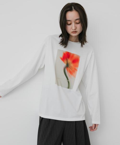 SENSE OF PLACE by URBAN RESEARCH(センスオブプレイスバイアーバンリサーチ)の「グラフィックTシャツ(Tシャツ/カットソー・レディース・その他4/その他1/その他3/その他2・ONE)」の6枚目の写真