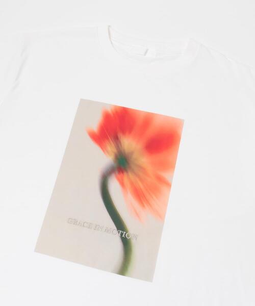 SENSE OF PLACE by URBAN RESEARCH(センスオブプレイスバイアーバンリサーチ)の「グラフィックTシャツ(Tシャツ/カットソー・レディース・その他4/その他1/その他3/その他2・ONE)」の13枚目の写真