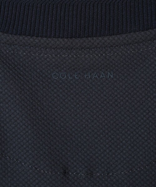 MEN'S BIGI(メンズビギ)の「【COLE HAAN/コール ハーン】別注 ハニカムジャージ素材ジャケットTEE<抗菌/UVカット/4WAYストレッチ>(Tシャツ/カットソー・メンズ・ブラック/ホワイト/ネイビー・01/02/03/04)」の18枚目の写真