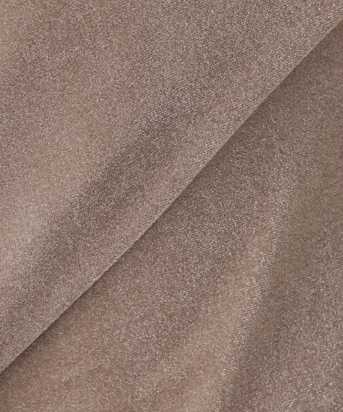 SLOBE IENA(スローブイエナ)の「ベロアTシャツ(Tシャツ/カットソー・レディース・ブラック/サックスブルー/グレー/ベージュ・FREE)」の14枚目の写真