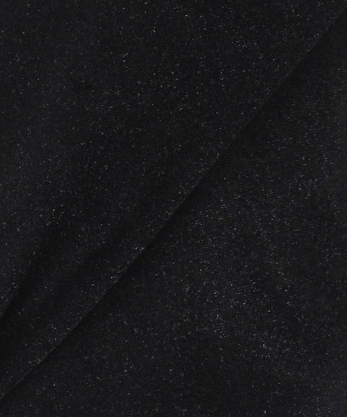 SLOBE IENA(スローブイエナ)の「ベロアTシャツ(Tシャツ/カットソー・レディース・ブラック/サックスブルー/グレー/ベージュ・FREE)」の17枚目の写真