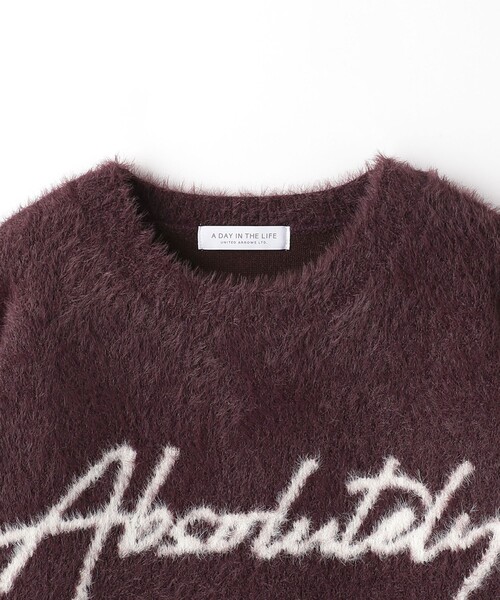A DAY IN THE LIFE UNITED ARROWS（アデイインザライフユナイテッドアローズ）の「ボリューム フェザー ロゴニット ＜A DAY IN THE LIFE＞（ニット/セーター・レディース・オフホワイト/ダークブラウン/ダークグレー・FREE）」の11枚目の写真