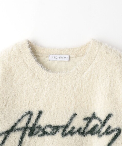 A DAY IN THE LIFE UNITED ARROWS（アデイインザライフユナイテッドアローズ）の「ボリューム フェザー ロゴニット ＜A DAY IN THE LIFE＞（ニット/セーター・レディース・オフホワイト/ダークブラウン/ダークグレー・FREE）」の15枚目の写真