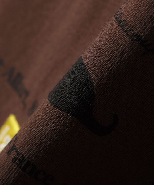 SHIPS any(シップス エニィ)の「【SHIPS any別注】La Hutte:〈洗濯機可能〉デザイン ロゴ プリント TEE 26SS(Tシャツ/カットソー・レディース・ブラウン/ホワイト系2/ホワイト系1/ピンク・ONE SIZE)」の11枚目の写真