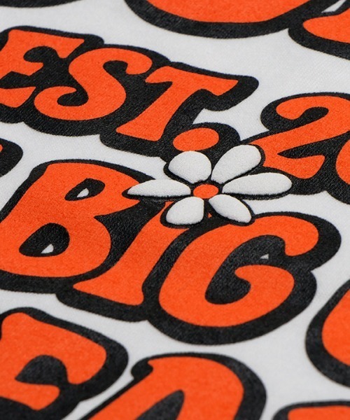 NEW YORK BURST(ニューヨークバースト)の「PEACEFUL NYB T-SHIRT(Tシャツ/カットソー・メンズ・ホワイト/ブラック/ライトブルー/ブラウン・XL/L/M)」の21枚目の写真