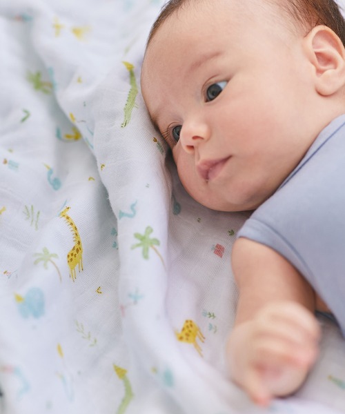 ブランケット（ベビー寝具/家具）｜aden + anais （エイデンアンドア