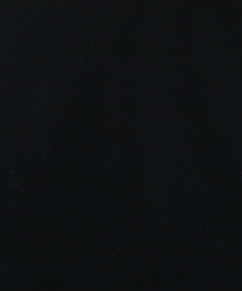 OPAQUE.CLIP(オペークドットクリップ)の「◆Aラインフレンチスリーブカットソー【WEB限定カラー・サイズ】(Tシャツ/カットソー・レディース・ブラック/ブラウン系その他5/ホワイト系/黄緑系・40/38/42/36)」の17枚目の写真