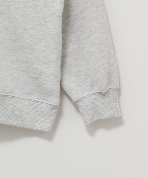 Red Cap Girl（レッドキャプガール）の「RED CAP GIRL レッドキャップガール バック発泡プリント ハーフジッププルオーバー（スウェット・メンズ・チャコールグレー/グレー/ネイビー・M/L）」の13枚目の写真