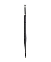 FOX UMBRELLAS(tHbNXAuY)FOX UMBRELLAS / tHbNX AuYFGT27 SKULL Silver Plated JpiUVj64pFFX-GT27-SK-G0-99[MUS](P)