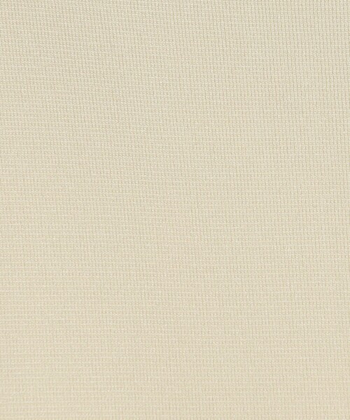 BALLSEY(ボールジィ)の「ミラノリブ ウエストタックワンピース(ワンピース・レディース・ネイビー/ホワイト・36)」の10枚目の写真