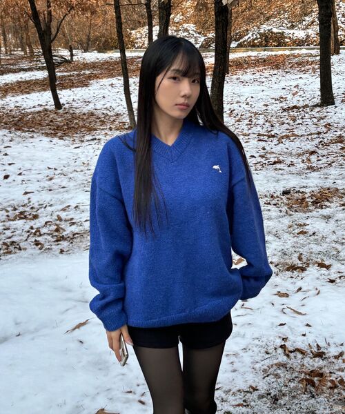 WaiKei(ワイケイ)の「ドルフィンヘアリーVネックニットブルー(ニット/セーター・メンズ・その他・1/2)」の7枚目の写真