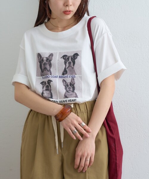 CIAOPANIC TYPY（チャオパニックティピー）の「犬アソートフォトプリント半袖Tee（Tシャツ/カットソー・レディース・ピンク/ブラウン/チャコールグレー/オフホワイト・ONE SIZE）」の2枚目の写真