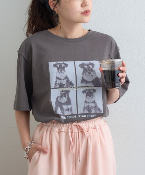 CIAOPANIC TYPY（チャオパニックティピー）の「犬アソートフォトプリント半袖Tee（Tシャツ/カットソー・レディース・ピンク/ブラウン/チャコールグレー/オフホワイト・ONE SIZE）」の3枚目の写真