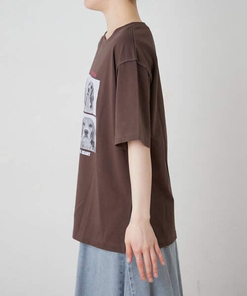CIAOPANIC TYPY（チャオパニックティピー）の「犬アソートフォトプリント半袖Tee（Tシャツ/カットソー・レディース・ピンク/ブラウン/チャコールグレー/オフホワイト・ONE SIZE）」の11枚目の写真