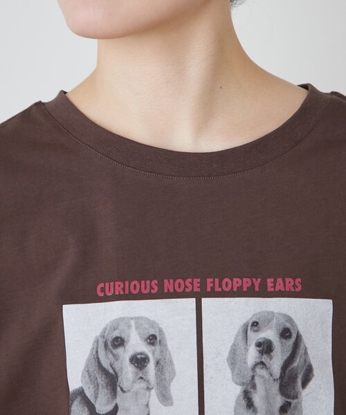 CIAOPANIC TYPY（チャオパニックティピー）の「犬アソートフォトプリント半袖Tee（Tシャツ/カットソー・レディース・ピンク/ブラウン/チャコールグレー/オフホワイト・ONE SIZE）」の13枚目の写真