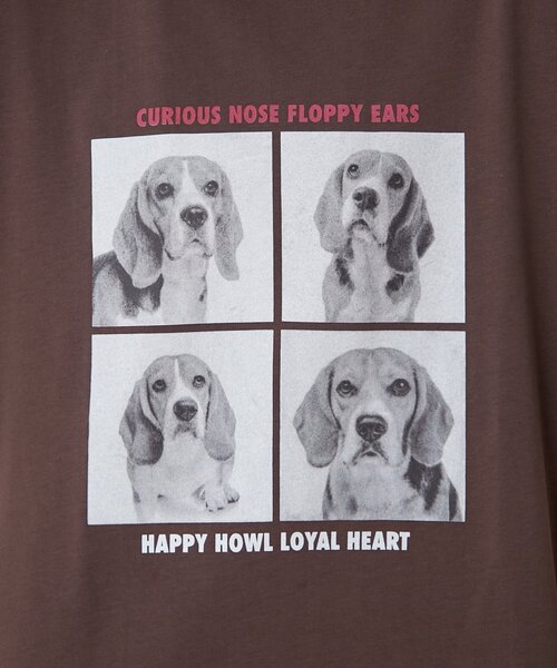 CIAOPANIC TYPY（チャオパニックティピー）の「犬アソートフォトプリント半袖Tee（Tシャツ/カットソー・レディース・ピンク/ブラウン/チャコールグレー/オフホワイト・ONE SIZE）」の14枚目の写真