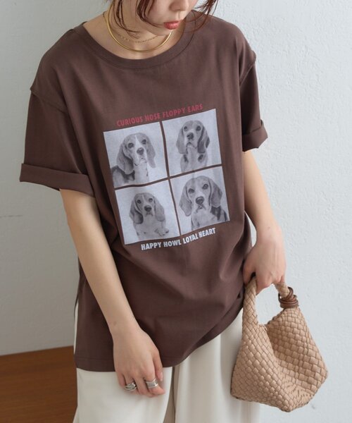CIAOPANIC TYPY（チャオパニックティピー）の「犬アソートフォトプリント半袖Tee（Tシャツ/カットソー・レディース・ピンク/ブラウン/チャコールグレー/オフホワイト・ONE SIZE）」の17枚目の写真