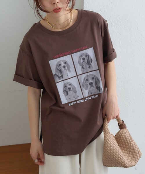 CIAOPANIC TYPY（チャオパニックティピー）の「犬アソートフォトプリント半袖Tee（Tシャツ/カットソー・レディース・ピンク/ブラウン/チャコールグレー/オフホワイト・ONE SIZE）」の18枚目の写真