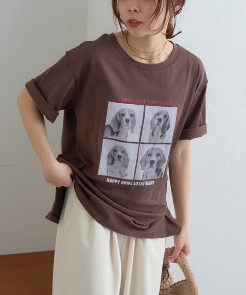 CIAOPANIC TYPY（チャオパニックティピー）の「犬アソートフォトプリント半袖Tee（Tシャツ/カットソー・レディース・ピンク/ブラウン/チャコールグレー/オフホワイト・ONE SIZE）」の19枚目の写真