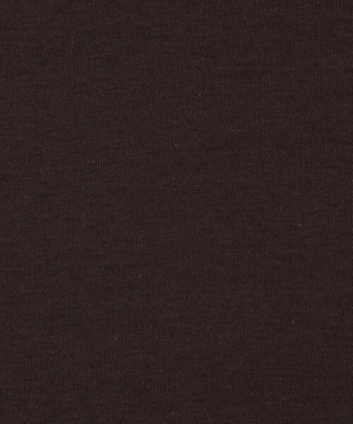 MACPHEE（マカフィー）の「シアージャージー ハーフスリーブプルオーバー（Tシャツ/カットソー・レディース・チャコールグレー/ライトベージュ/レッド/ダークブラウン/ホワイト・S）」の10枚目の写真