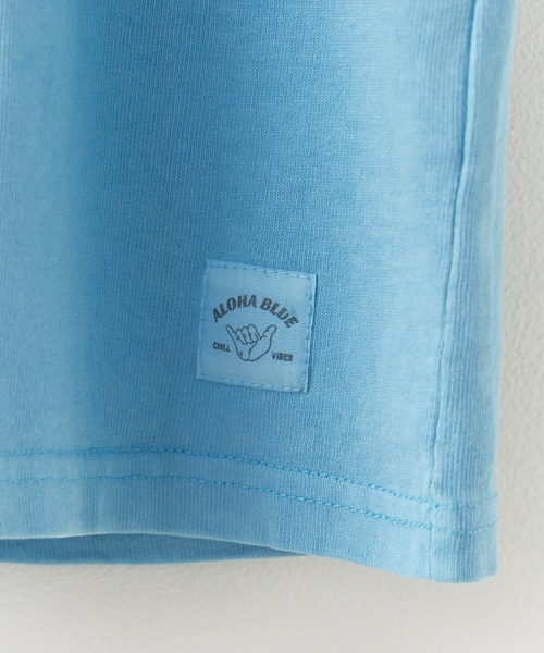 ALOHA BLUE(アロハブルー)の「ALOHA BLUE / アロハブルー ピグメントダイ ロゴプリントTシャツ 半袖Tシャツ クルーネック メンズ 秋 秋服 2026年秋冬(Tシャツ/カットソー・メンズ・ブルー・S/M/L/XL)」の17枚目の写真