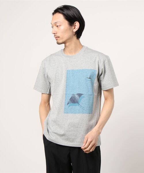 Jonas Claesson（ジョナスクレアッソン）の「【 JONAS CLAESSON / ジョナス・クレアッソン 】EAGLE RAY プリント半袖Tシャツ NSB（Tシャツ/カットソー・メンズ・ネイビー/グレー/ホワイト・M/XS/L）」の6枚目の写真