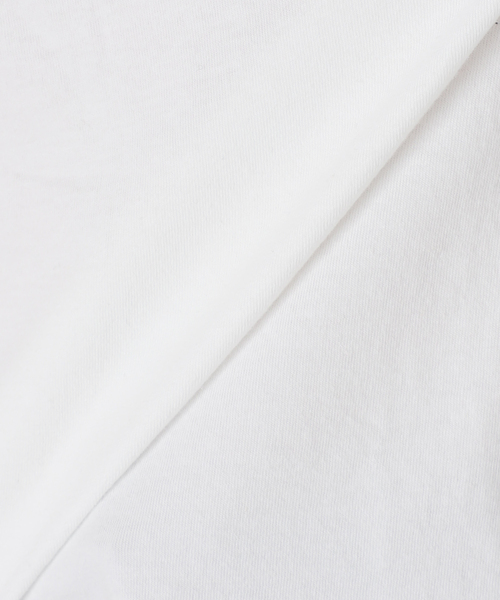 JOURNAL STANDARD relume（ジャーナルスタンダード　レリューム）の「【Frank Lloyd Wright / フランク・ロイド・ライト】 別注Tシャツ（Tシャツ/カットソー・メンズ・ブラック系その他/ブラック×ブラック/ブラック/ホワイト/ホワイト系その他/ブラックミックス・MEDIUM/LARGE）」の17枚目の写真