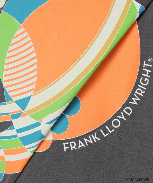 JOURNAL STANDARD relume（ジャーナルスタンダード　レリューム）の「【Frank Lloyd Wright / フランク・ロイド・ライト】 別注Tシャツ（Tシャツ/カットソー・メンズ・ブラック系その他/ブラック×ブラック/ブラック/ホワイト/ホワイト系その他/ブラックミックス・MEDIUM/LARGE）」の20枚目の写真