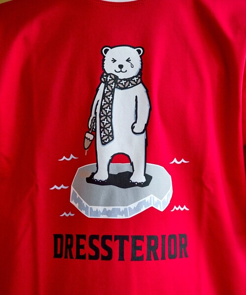 DRESSTERIOR ICE CLEAR COTTON レイヤードT DRESSTERIOR tシャツ 「干場義雅×DRESSTERIOR」ICE CLEAR COTTON
